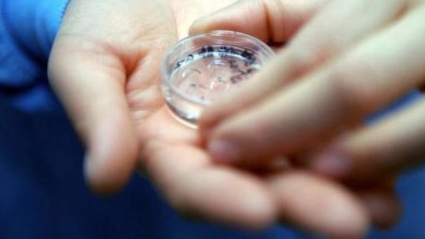 三代试管婴儿怀双胎有哪几种情况？三代试管婴儿怀双胎的几种情况详解