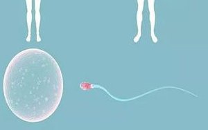 德阳试管婴儿，德阳试管婴儿医院