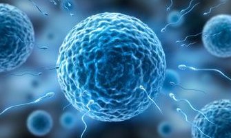 日本杉山医院做试管需要多少钱？附日本杉山医院试管流程