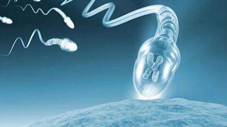 第三代试管进入人工周期的详细步骤有哪些？影响试管成功率的因素有哪些？